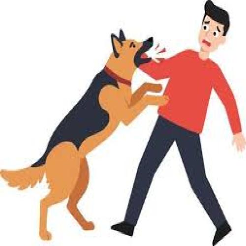 The Dog Love Bites...